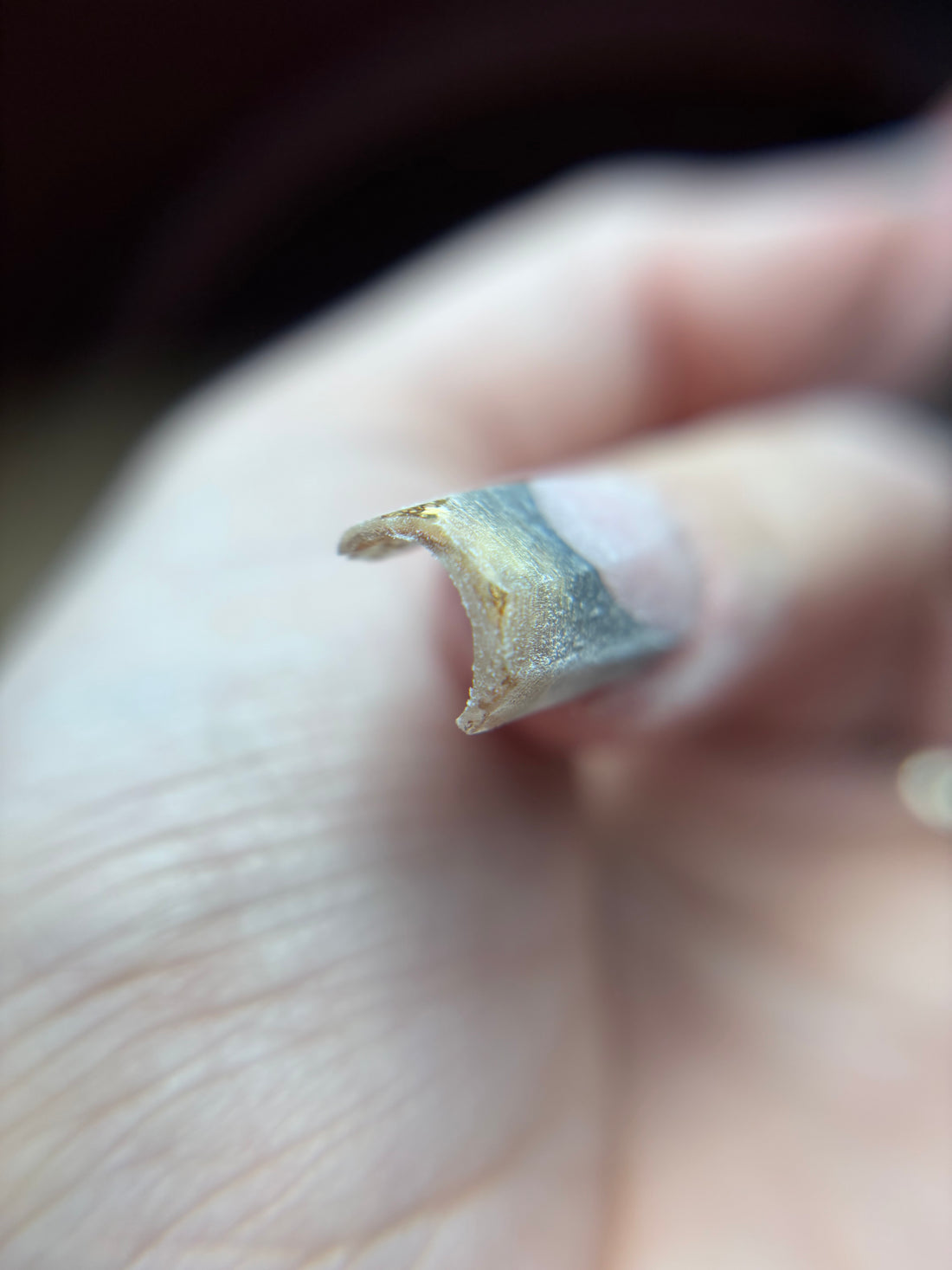 Formation perfectionnement